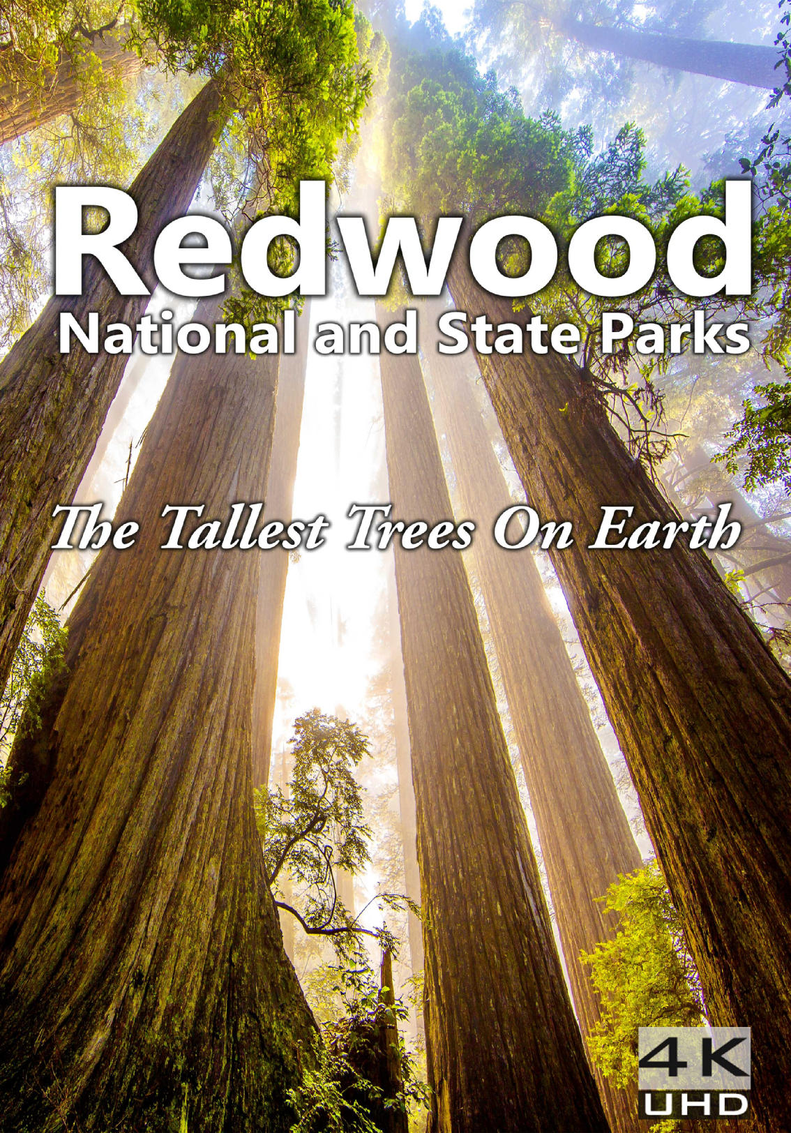 Redwood (2016) Kaleidescape Movie Store